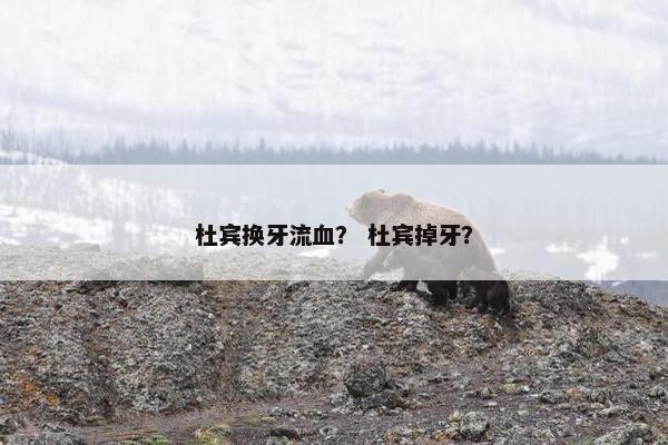 杜宾换牙流血？ 杜宾掉牙？