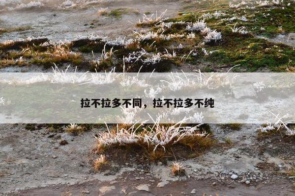 拉不拉多不同，拉不拉多不纯