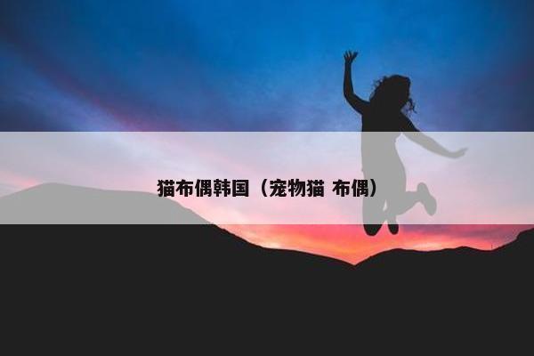 猫布偶韩国（宠物猫 布偶）