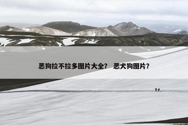 恶狗拉不拉多图片大全？ 恶犬狗图片？