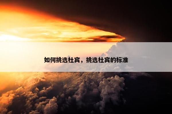 如何挑选杜宾，挑选杜宾的标准