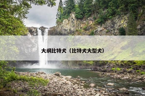 级别