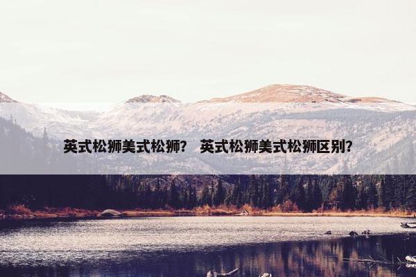 英式松狮美式松狮？ 英式松狮美式松狮区别？