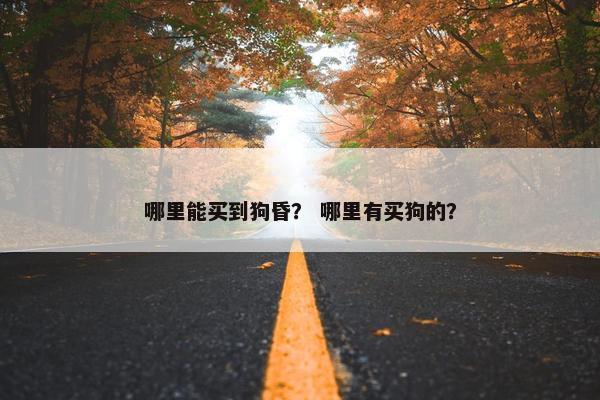 哪里能买到狗昏？ 哪里有买狗的？