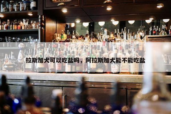 拉斯加犬可以吃盐吗,阿拉斯加犬能不能吃盐