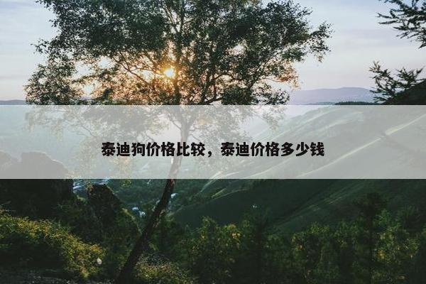 泰迪狗价格比较，泰迪价格多少钱
