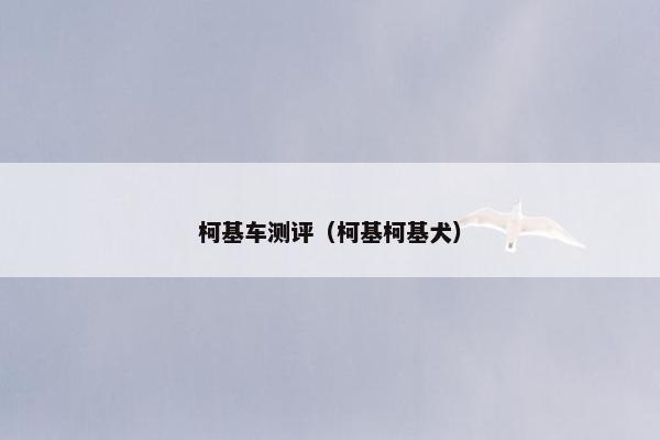柯基车测评（柯基柯基犬）