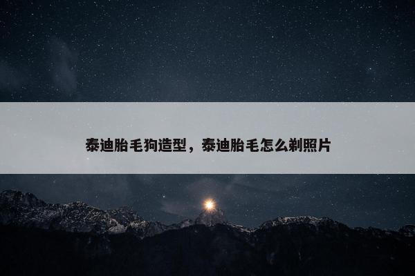 泰迪胎毛狗造型，泰迪胎毛怎么剃照片