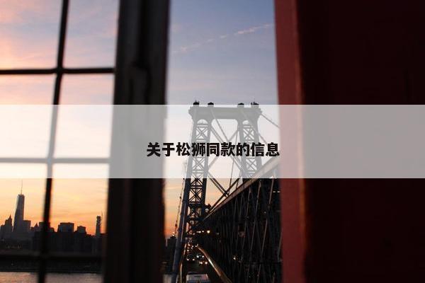 关于松狮同款的信息