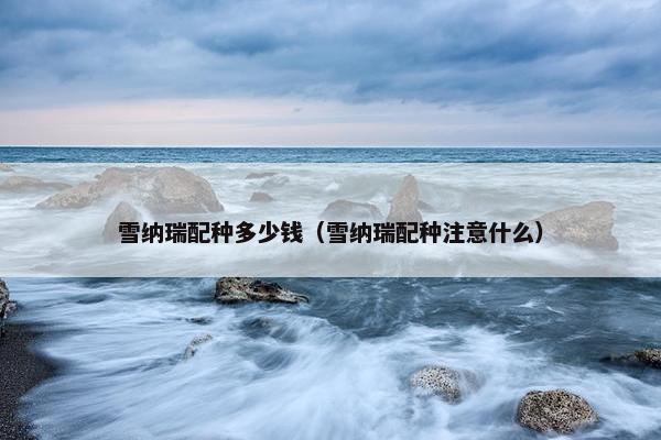 雪纳瑞配种多少钱(雪纳瑞配种注意什么)