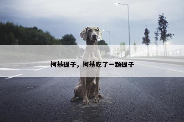 柯基提子，柯基吃了一颗提子