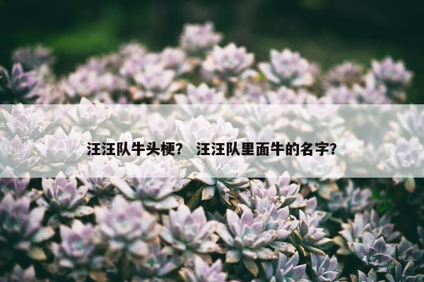 搜救