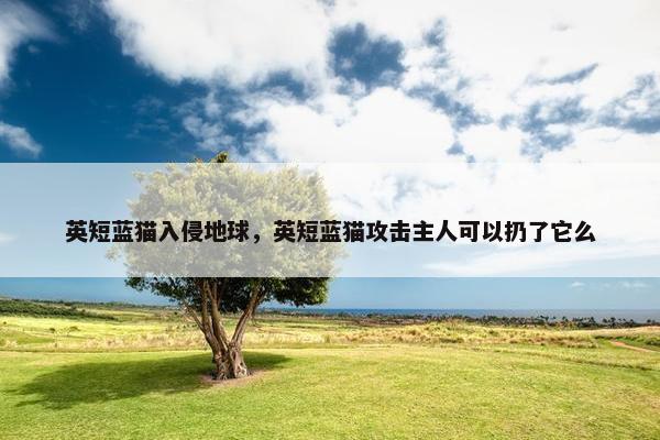 英短蓝猫入侵地球，英短蓝猫攻击主人可以扔了它么