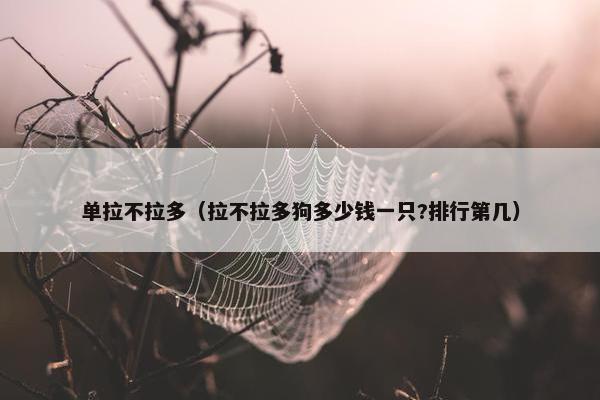 单拉不拉多（拉不拉多狗多少钱一只?排行第几）