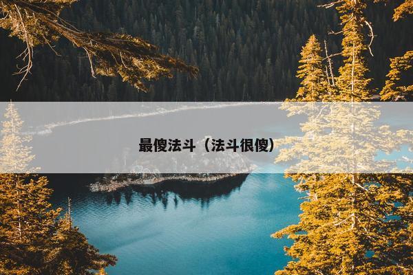 最傻法斗（法斗很傻）