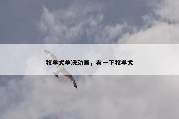 牧羊犬羊决动画,看一下牧羊犬