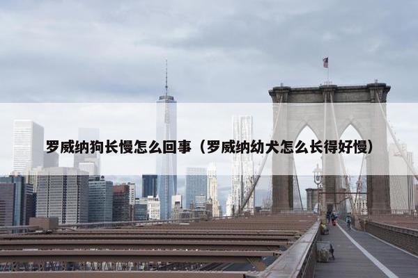 罗威纳狗长慢怎么回事（罗威纳幼犬怎么长得好慢）