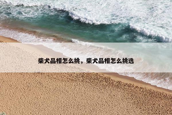 柴犬品相怎么挑，柴犬品相怎么挑选