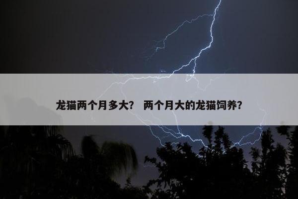 龙猫两个月多大？ 两个月大的龙猫饲养？