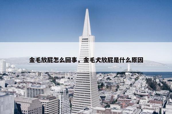 金毛放屁怎么回事，金毛犬放屁是什么原因