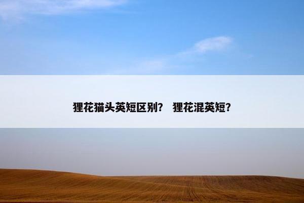 狸花猫头英短区别？ 狸花混英短？