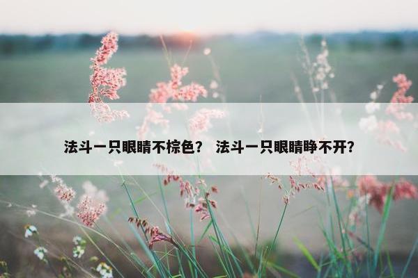 法斗一只眼睛不棕色？ 法斗一只眼睛睁不开？
