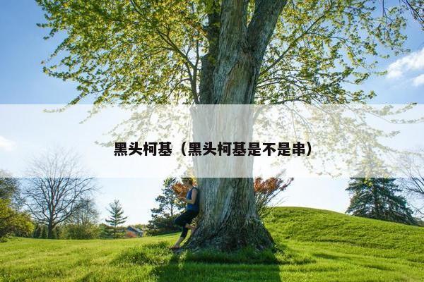黑头柯基（黑头柯基是不是串）