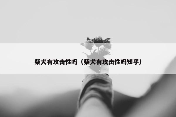 柴犬有攻击性吗（柴犬有攻击性吗知乎）