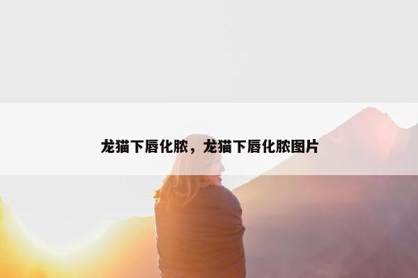 龙猫下唇化脓，龙猫下唇化脓图片