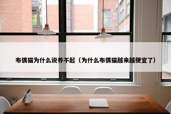 布偶猫为什么说养不起(为什么布偶猫越来越便宜了)