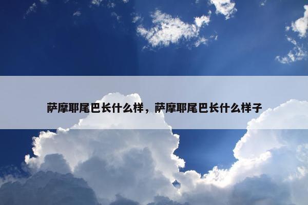 萨摩耶尾巴长什么样，萨摩耶尾巴长什么样子