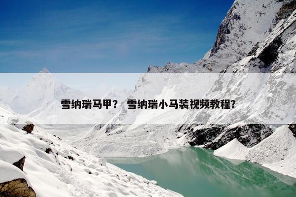 雪纳瑞马甲？ 雪纳瑞小马装视频教程？