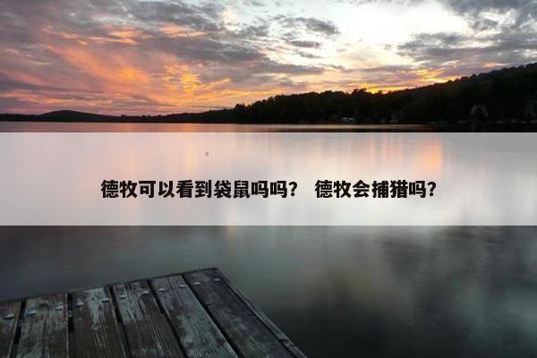 德牧可以看到袋鼠吗吗？ 德牧会捕猎吗？