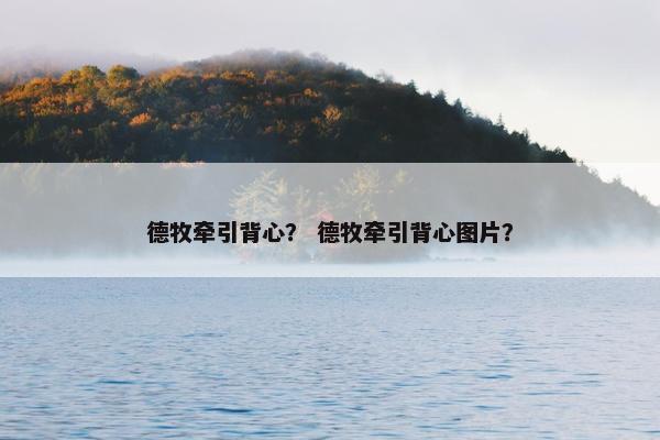 德牧牵引背心？ 德牧牵引背心图片？