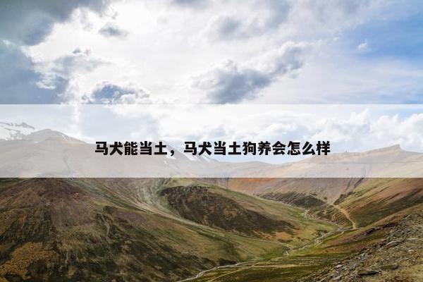 马犬能当土，马犬当土狗养会怎么样