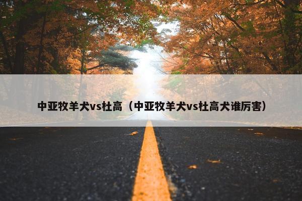 中亚牧羊犬vs杜高（中亚牧羊犬vs杜高犬谁厉害）