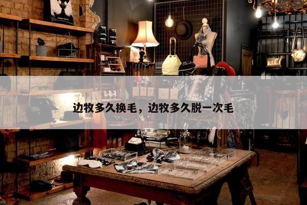 边牧多久换毛，边牧多久脱一次毛