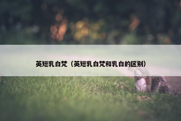 英短乳白梵（英短乳白梵和乳白的区别）