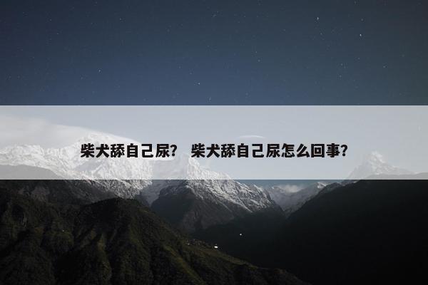 柴犬舔自己尿？ 柴犬舔自己尿怎么回事？