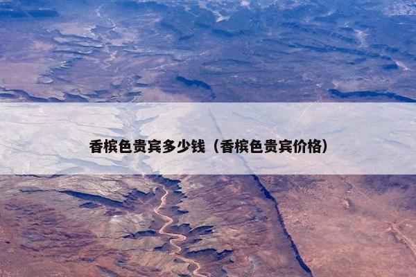 香槟色贵宾多少钱（香槟色贵宾价格）