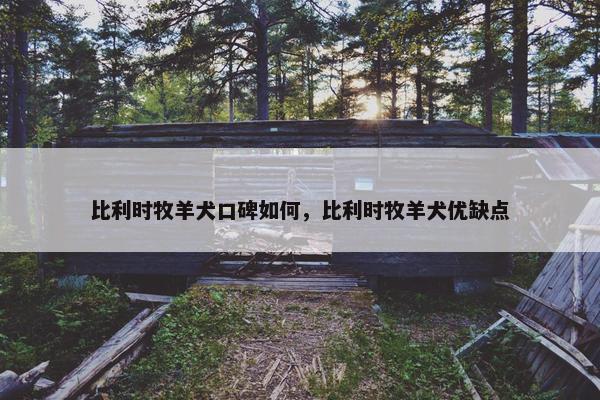 比利时牧羊犬口碑如何，比利时牧羊犬优缺点