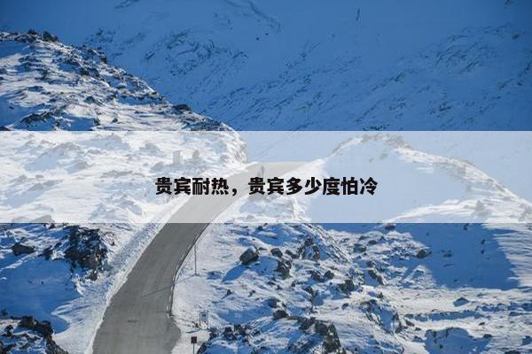 贵宾耐热，贵宾多少度怕冷