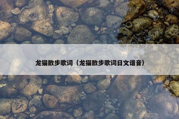 龙猫散步歌词（龙猫散步歌词日文谐音）