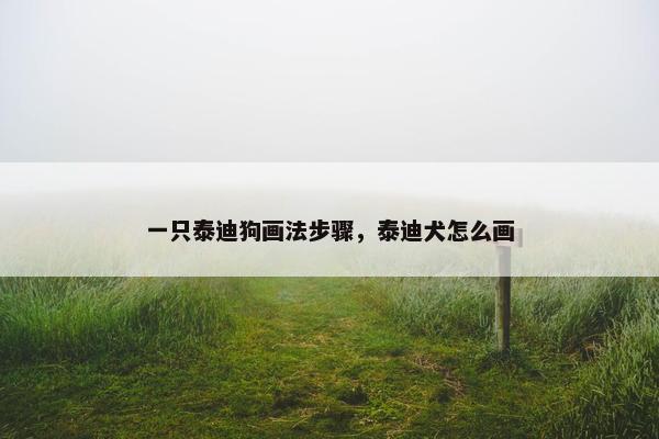 一只泰迪狗画法步骤，泰迪犬怎么画
