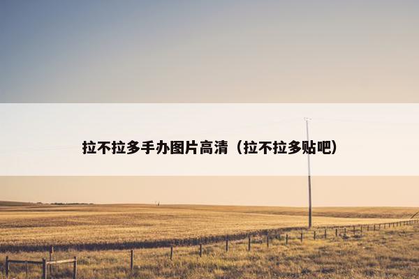 拉不拉多手办图片高清（拉不拉多贴吧）