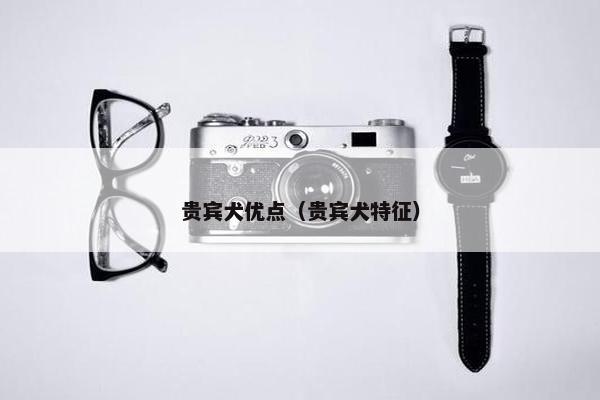 贵宾犬优点（贵宾犬特征）