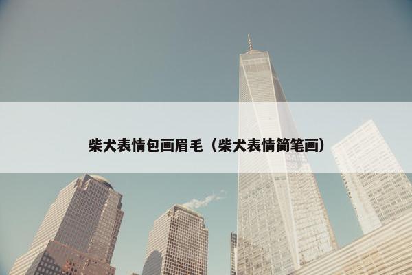 柴犬表情包画眉毛（柴犬表情简笔画）