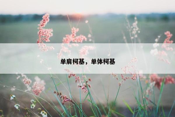 单肩柯基，单体柯基