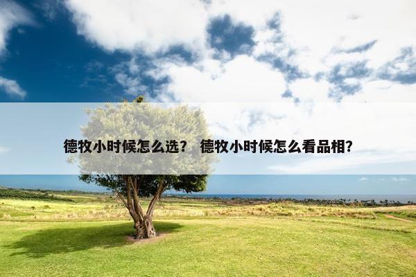 德牧小时候怎么选? 德牧小时候怎么看品相?