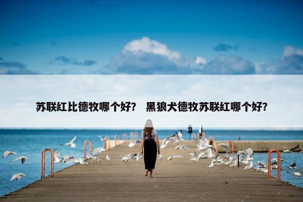 苏联红比德牧哪个好? 黑狼犬德牧苏联红哪个好?